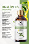 Eucalyptus Cold Pressed and Natural Herbal Eucalyptus Essential Oil 100ml - 3