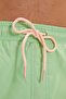 Daytona Light Green Men's Swim Shorts - 6