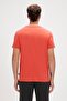 Solid T-Shirt - 5