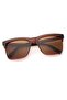 Brown Men's Sunglasses Apsn002002 - 2