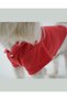 Cat - Dog Polo Neck T-Shirt Pomegranate Flower - 6