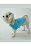 Cat - Dog Polo Neck T-Shirt Blue - 3