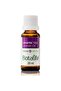 3 Bottles of Lavender Oil 20 ml (Pure Quality) Botalife