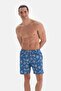 Turquoise Caretta Patterned Medium Swim Shorts - 2