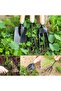 Mini Garden Tools Set of 3, Succulent Plants Tools Wood Handle Rake, Fork and Shovel, Garden Hand Tr - 2
