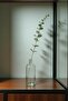 Artificial Eucalyptus Branch 1 Piece 37 cm - 2