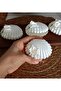 15 Oyster Candles with Gala Flower Decorations # Wedding # Engagement # Word