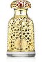 عطر إيمير للجنسين 100 مل