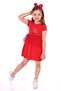 Baby Girl Cup Cake Embroidered Dress