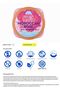 Tree Hut Moroccan Rose Shea Sugar Scrub 510g - 7
