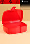 Children's School Lunch Meal Set Storage Container 500ml with Water Bottle Student Flask Sturdy Bpa-Free - 2