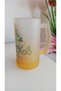 Vintage Orca Coatings''Happy&T.Patrıck&Day'' Frosted Glass Giant Mug Cup