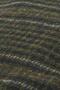 Wilkin Flat Şapka OL71 Olive Check - 5