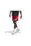 Pro Block Short Men's Basketball Shorts Iy2122 Red - 2