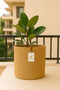 Jute Wicker Multi-Purpose Decorative Organizer Flower Pot Basket Garden Organizer Basket Width 20 Length 15 cm - 6