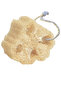 Natural Pumpkin Fiber Dish Sponge Bath Scrubber Loofah Sponge Drawstring Pumpkin Scrubber Thick Large Piece - 2