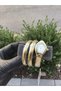 Yilan Model Aranan Tasarim Special Production Women's Wristwatch