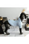 Rainbow Balloon Light Blue Sweater for Dog - 3