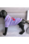 Girl Power Magenta Sweatshirt for Dog - 3