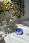 Mini Blue Mum