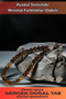 Men's Natural Stone Rosary - Medium Size Rosary with Natural Brown Jasper Stone