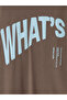 Brown Crew Neck Printed Boy's T-Shirt - 6