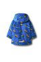 Jacket Blue - 2