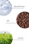Body Scrub| Coffee + Green Tea Extract Body Peeling| BHA + Jojoba Oil 250 ML - 7