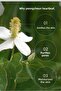 7 Days Mask Heartleaf P - Soothing & Moisturizing Heart Leaf Extract Vegan Paper Mask - 4