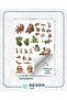 Lazy Animal Sticker Set 25 Pieces Phone, Tablet, Notebook, Laptop Sticker - 2
