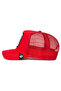 .The Bandit (Raccoon Figure) Hat 101-0379 - 3