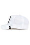 .Platinum Word (Parrot Figure) Hat 101-1043 - 3