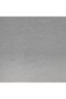 Tinted Charcoal Pencil Natural (Tc20) - 2