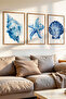 3 Piece Memories from the Shore Themed Wooden Frame Look Mdf Painting Set