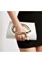 Women's Metallic Accented Clutch Handbag (Bc-1229)