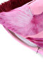 Pink Background Flamingo Patterned Digital Printed Velvet Cushion Cover with Fringes - 3