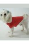 Cat - Dog Polo Neck T-Shirt Pomegranate Flower - 5