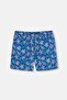 Turquoise Caretta Patterned Medium Swim Shorts