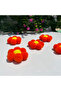 Pompom-Daisy-Flower-Souvenir-Set of 10 Decorative Handmade Flower - 5