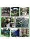 FFD 119cm Expandable Wooden Garden Fences Freestanding Wood Fence Pet Gate Animal Barrier - 2