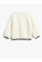 Plush Sweatshirt with Shiny Applique Detail - 2