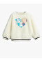 Plush Sweatshirt with Shiny Applique Detail