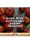 Real Tomato Ketchup Value Pack 800 gRich Tangy Sauce for Meals Snacks and Grilling - 5