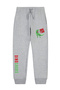 Dino Fun Printed Double Pocket Boys Jogger Sweatpants