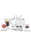 SJB-309 4-in-1 Juicer Blender [White] 600W Copper Motor - 2