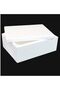 15 kg Thermocol Ice Box with Lid 50 Liter | Polystyrene Cooler Box for Frozen Food, Beverage, Pharma - 2
