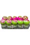 Alsaqer (10 Pack) Bamboo Wooden Toothpicks | Double Sided Round Bamboo Sticks | Toothpick f - 3