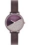 Spring-Summer 2021 Analog Dial Women's Watch, Brown Mesh
