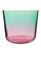 Atlanta Soft Drink Glass Yellow 315 ml - 4
