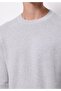 Regular Fit Round Neck Jacquard Men's Gray Sweater - 4